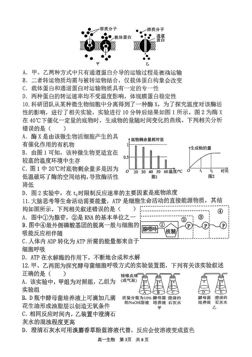 2025-2026学年山西省吕梁市第一学期高一期末阶段测试生物试卷(含答案)第3页