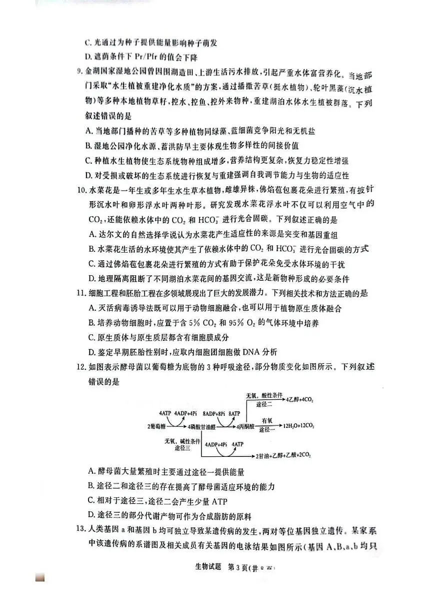 河南长垣市普通高中2025——2026学年(上)高三年级上期末考试生物试卷(含答案)第3页