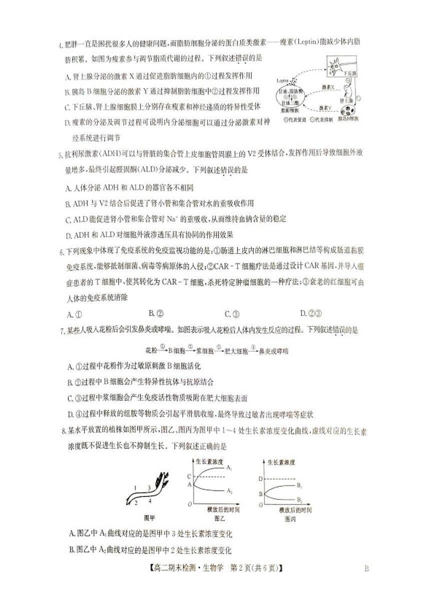 2025-2026学年河南商丘市高级中学等校高二上学期2月期末生物试题(含答案)第2页