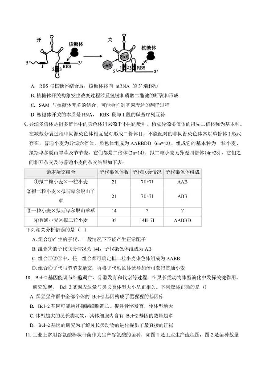 2026届四川省成都七中高三上期末考试生物学试题(含答案)第3页
