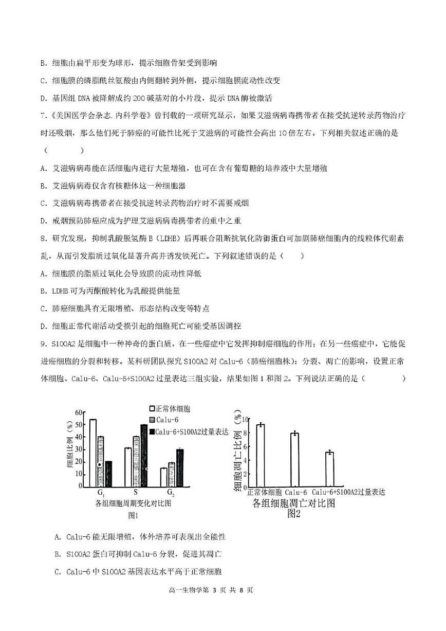 陕西省渭南市华阴市华州区华阴市校级联考2025-2026学年高一上学期1月期末生物试题(含答案)第3页