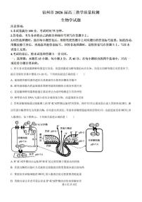 2026届安徽宿州市高三上一模教学质量检测生物试题（含答案）