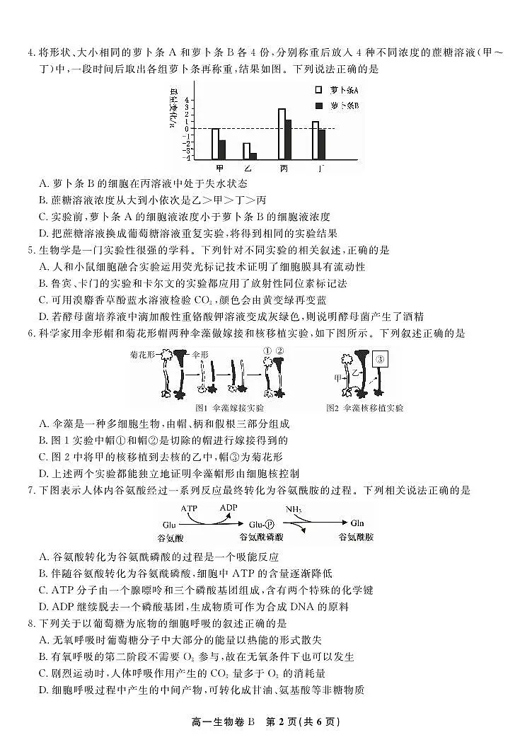 生物试题B·2026年2月高一期末第2页