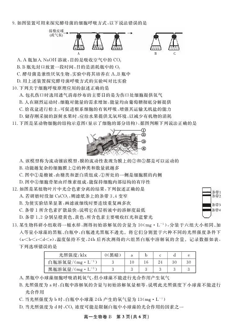 生物试题B·2026年2月高一期末第3页