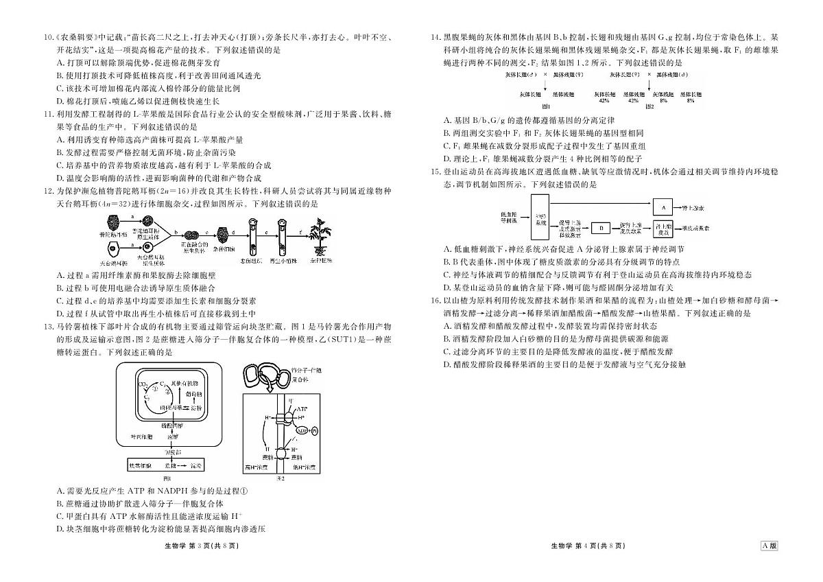 高二年级1月份自测生物正文A版第2页