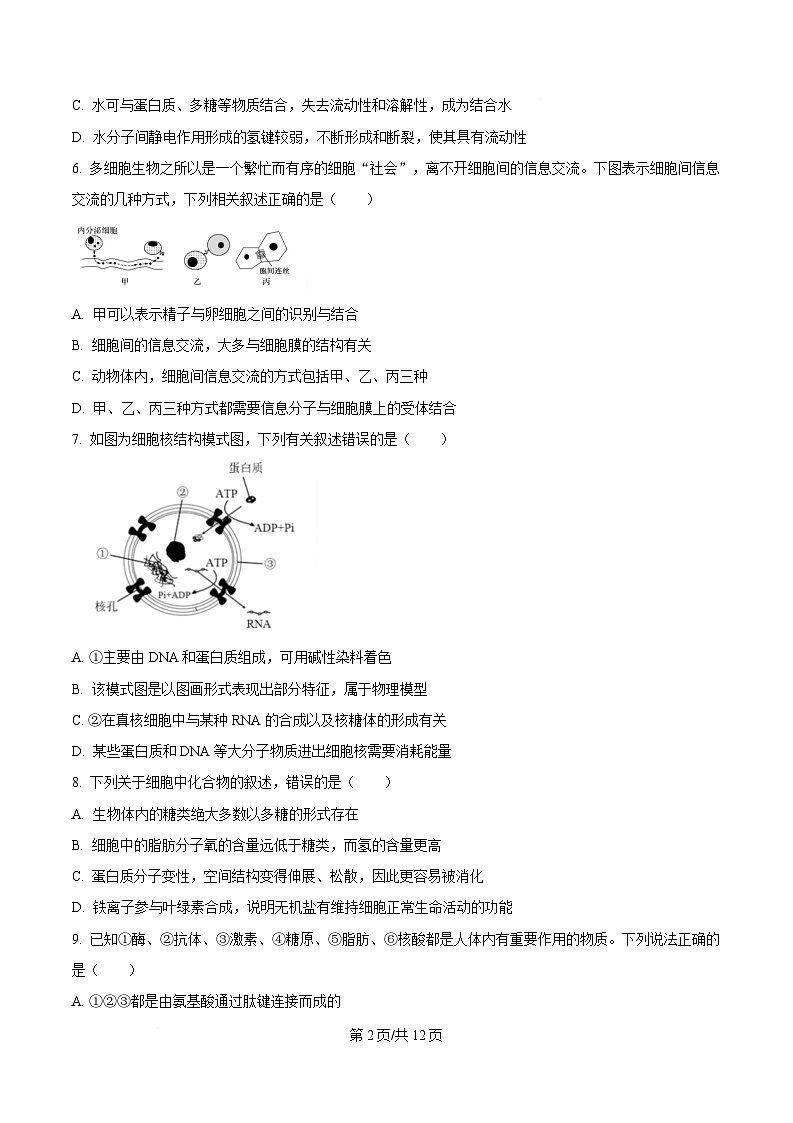 黑龙江省佳木斯市第一中学校2025-2026学年高一上学期1月期末生物试卷(含答案)第2页