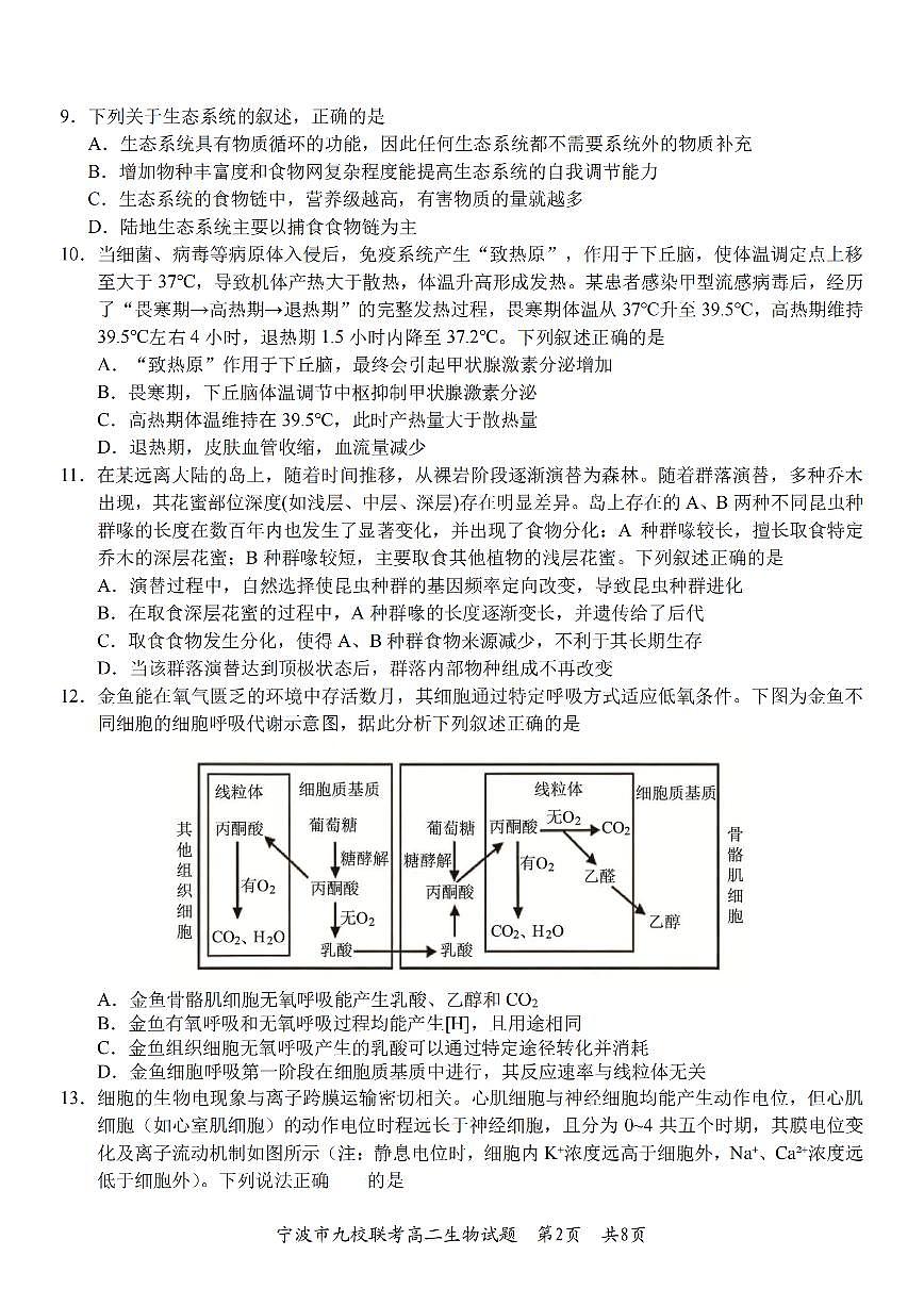生物卷-2601宁波九校高二期末第2页