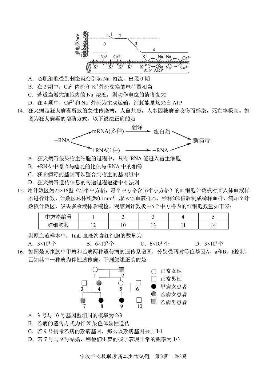 生物卷-2601宁波九校高二期末第3页