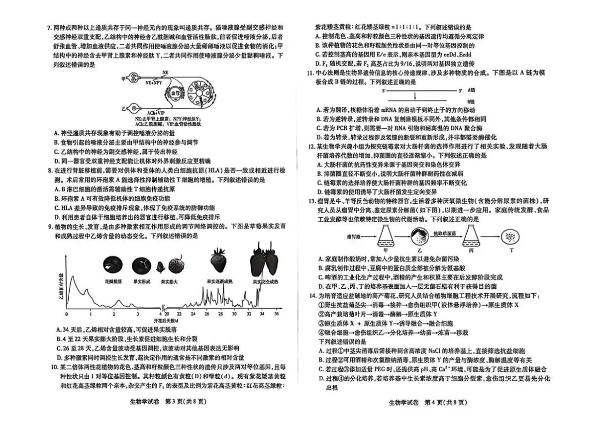 2025-2026学年安徽省滁州市高三上学期期末考试生物试题(含答案)第2页