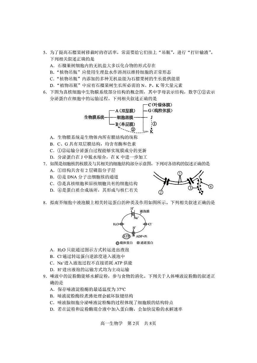 攀枝花市2025-2026学年度高一(上)教学质量监测样卷生物第2页