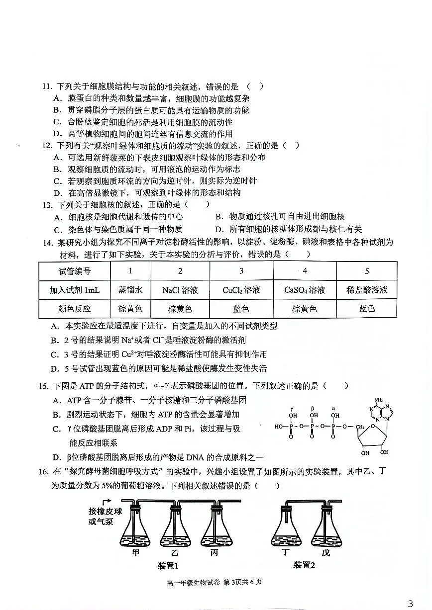 安徽芜湖市安徽师范大学附属中学2025-2026第一学期期末教学质量监控高一生物试卷(含答案)第3页