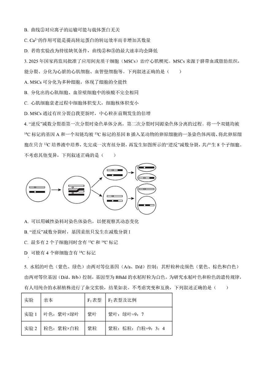 2025-2026学年山东省济宁市高三上学期期末检测生物试题(含答案)第2页