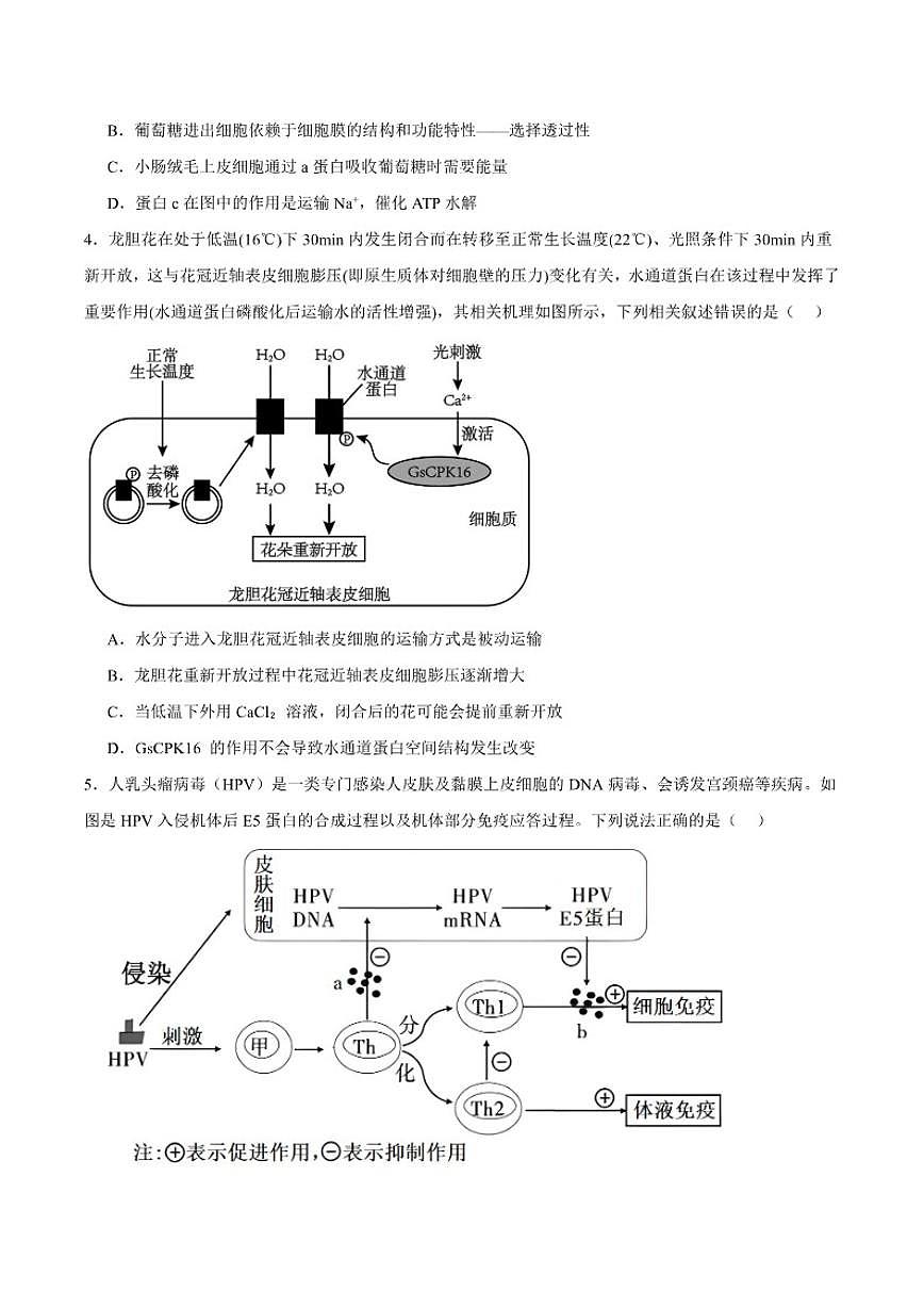 云南省玉溪第一中学2026届高三上学期适应性测试(十)生物(含答案)试卷第2页