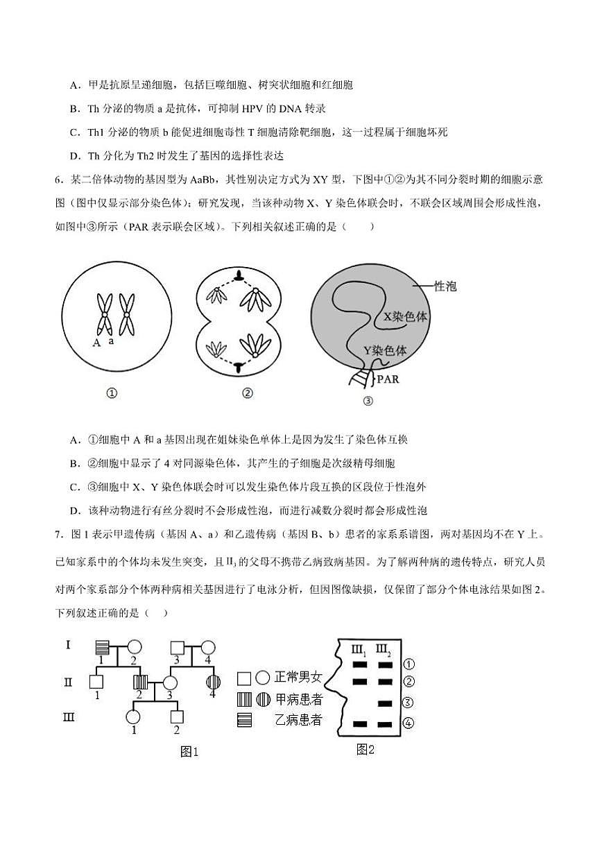 云南省玉溪第一中学2026届高三上学期适应性测试(十)生物(含答案)试卷第3页
