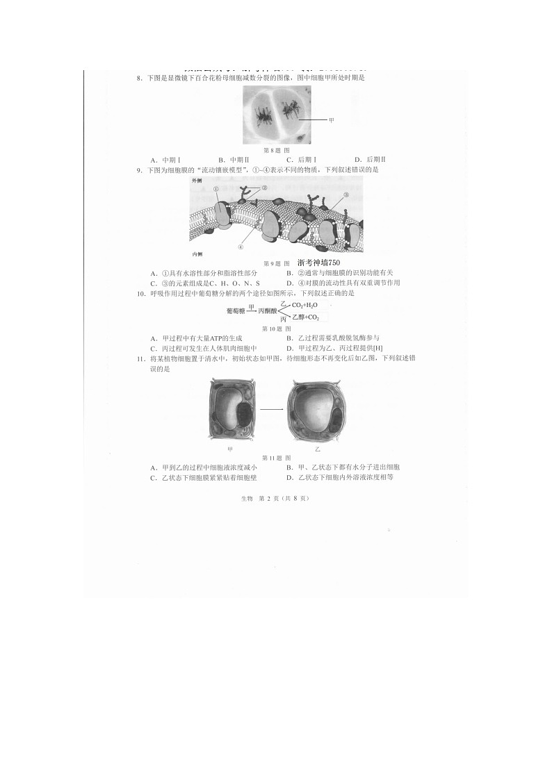 温州市2025-2026学年高一上学期期末(A卷)生物卷含答案第2页