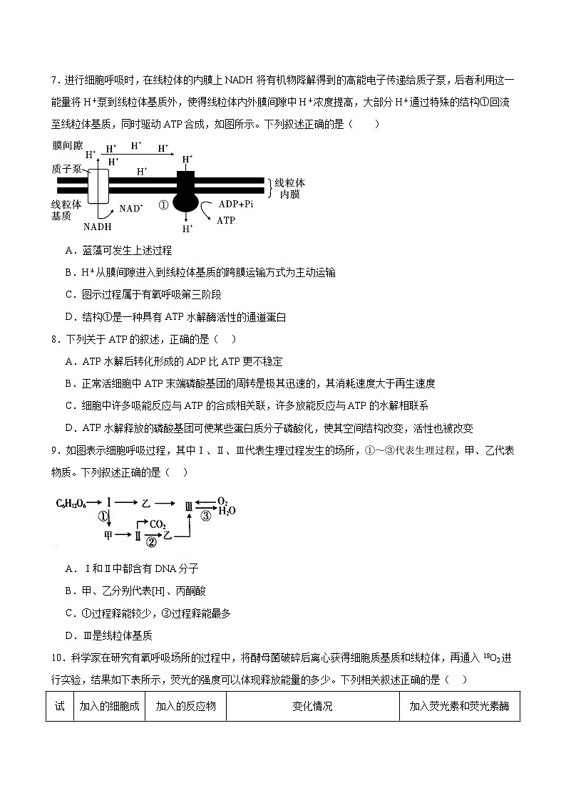 高考生物一轮单元检测卷细胞的能量供应和利用(原卷版)第3页