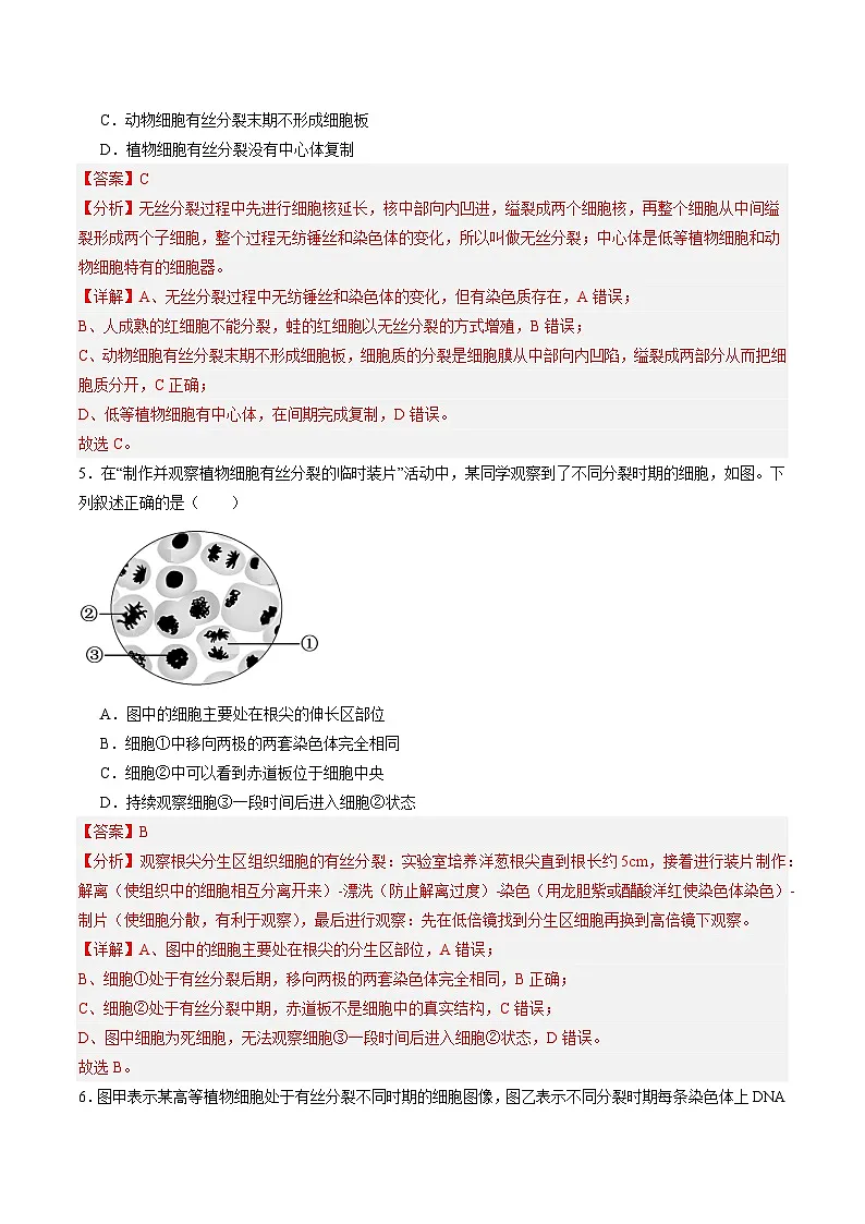 高考生物一轮单元检测卷细胞的生命历程(解析版)第3页