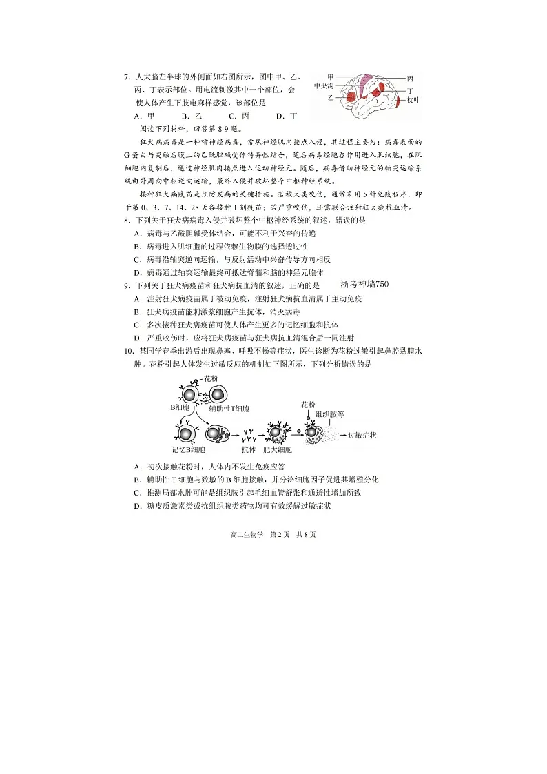 湖州市2025-2026学年高二上学期期末调测生物卷含答案第2页