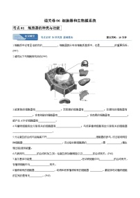 高考生物一轮考点通关卷06 细胞器和生物膜系统（原卷版）