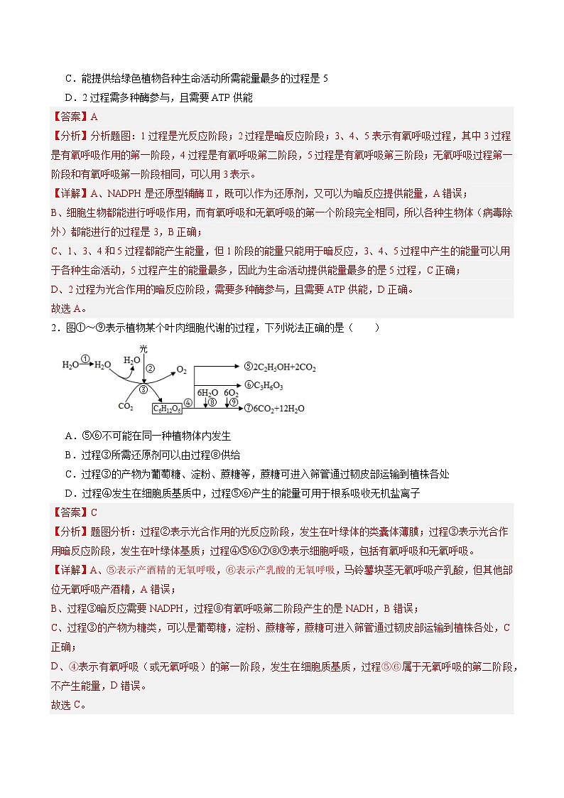 高考生物一轮考点通关卷11 细胞代谢综合分析(解析版)第2页