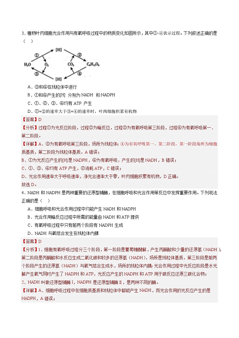 高考生物一轮考点通关卷11 细胞代谢综合分析(解析版)第3页