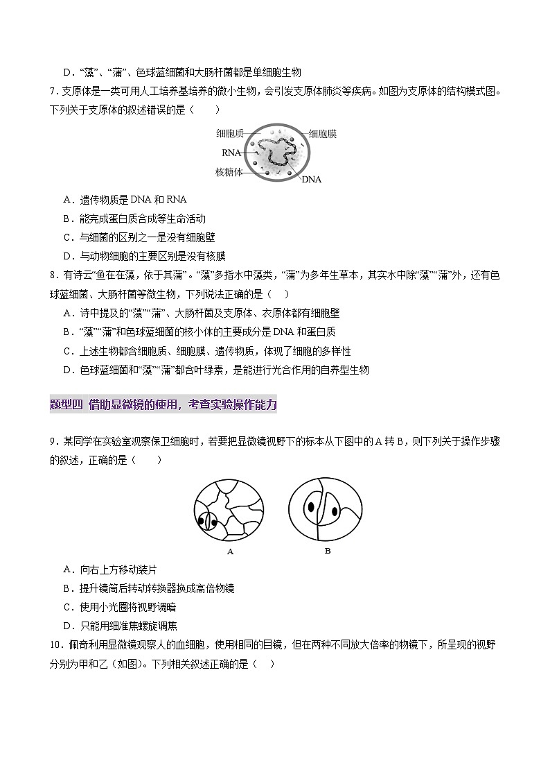 高考生物一轮-走近细胞(练习)(原卷版)第3页