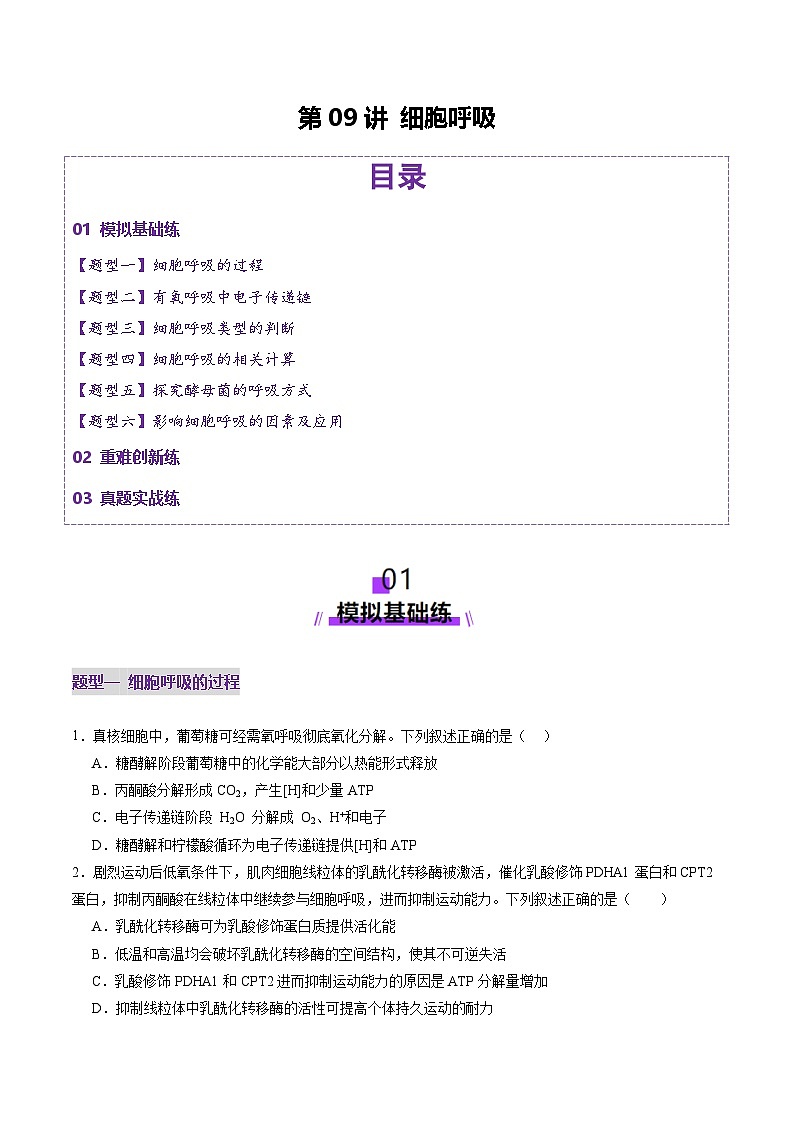 高考生物一轮-细胞呼吸(练习)(原卷版)第1页