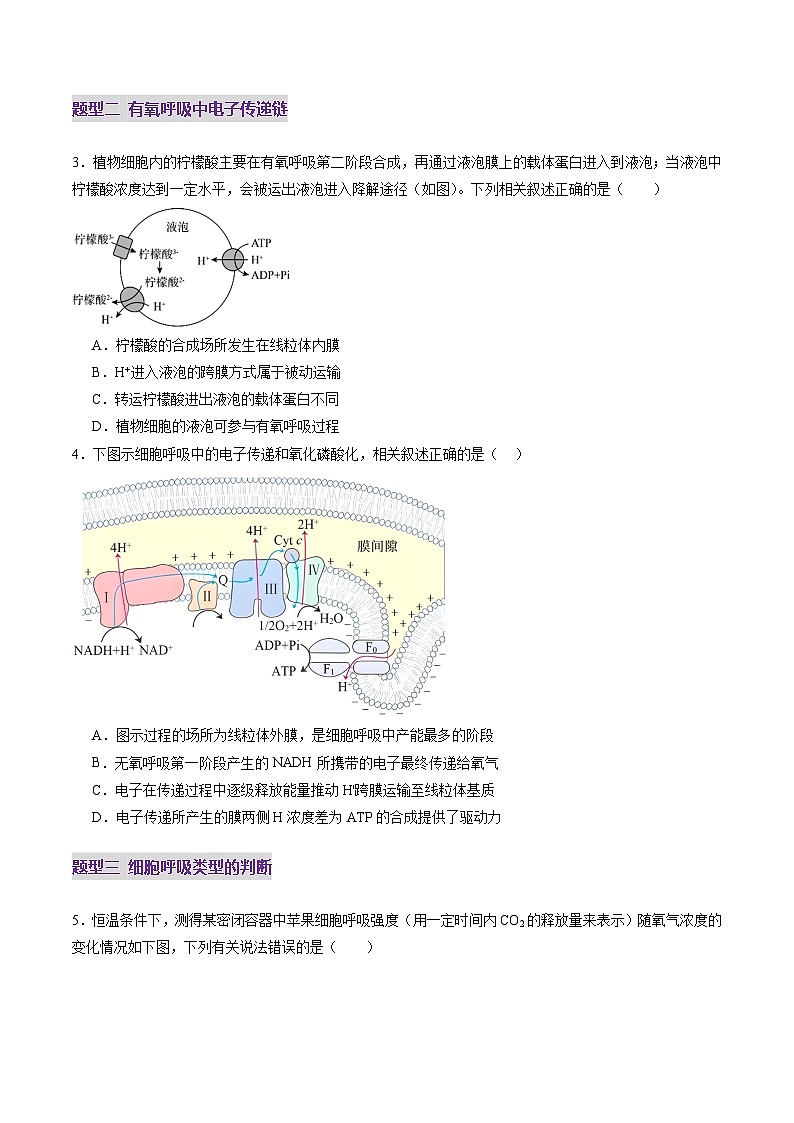 高考生物一轮-细胞呼吸(练习)(原卷版)第2页