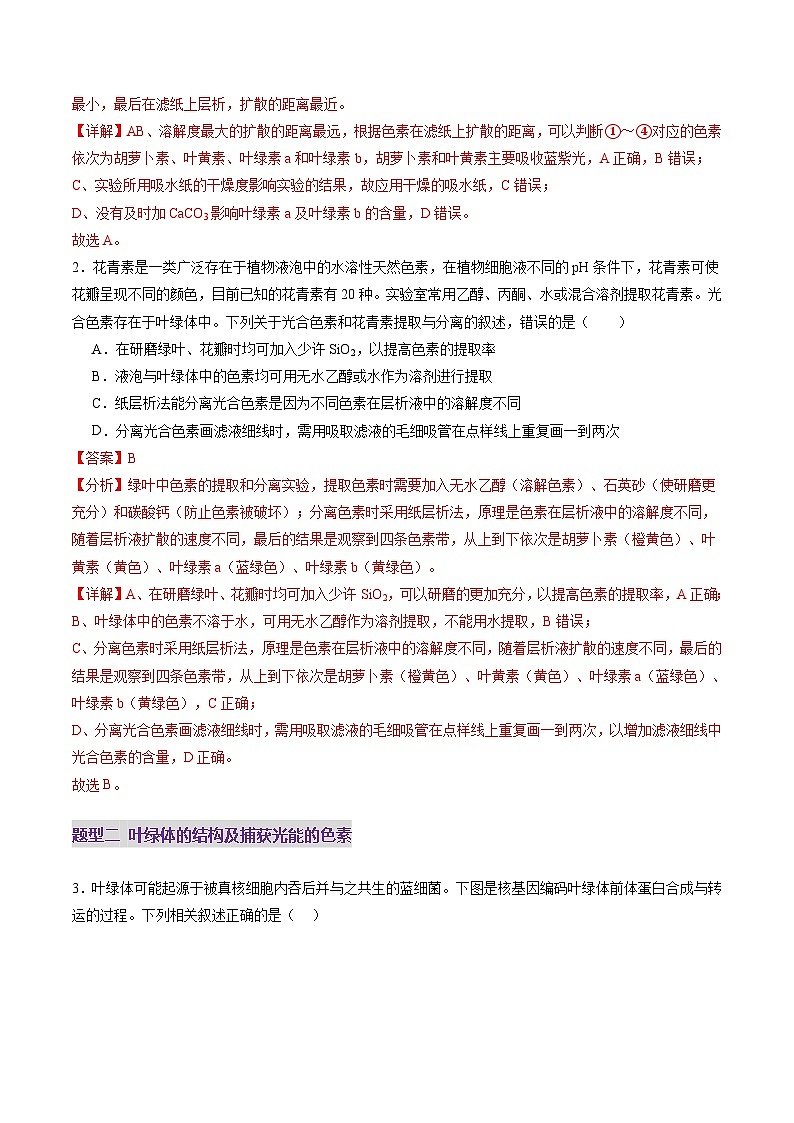高考生物一轮-光合作用(第一课时)(练习)(解析版)第2页