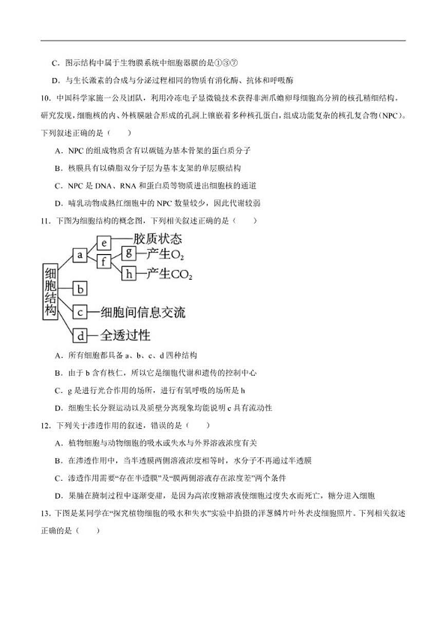 2025-2026学年新疆维吾尔自治区昌吉回族自治州高一上学期期末质量监测生物试卷(含答案)第3页