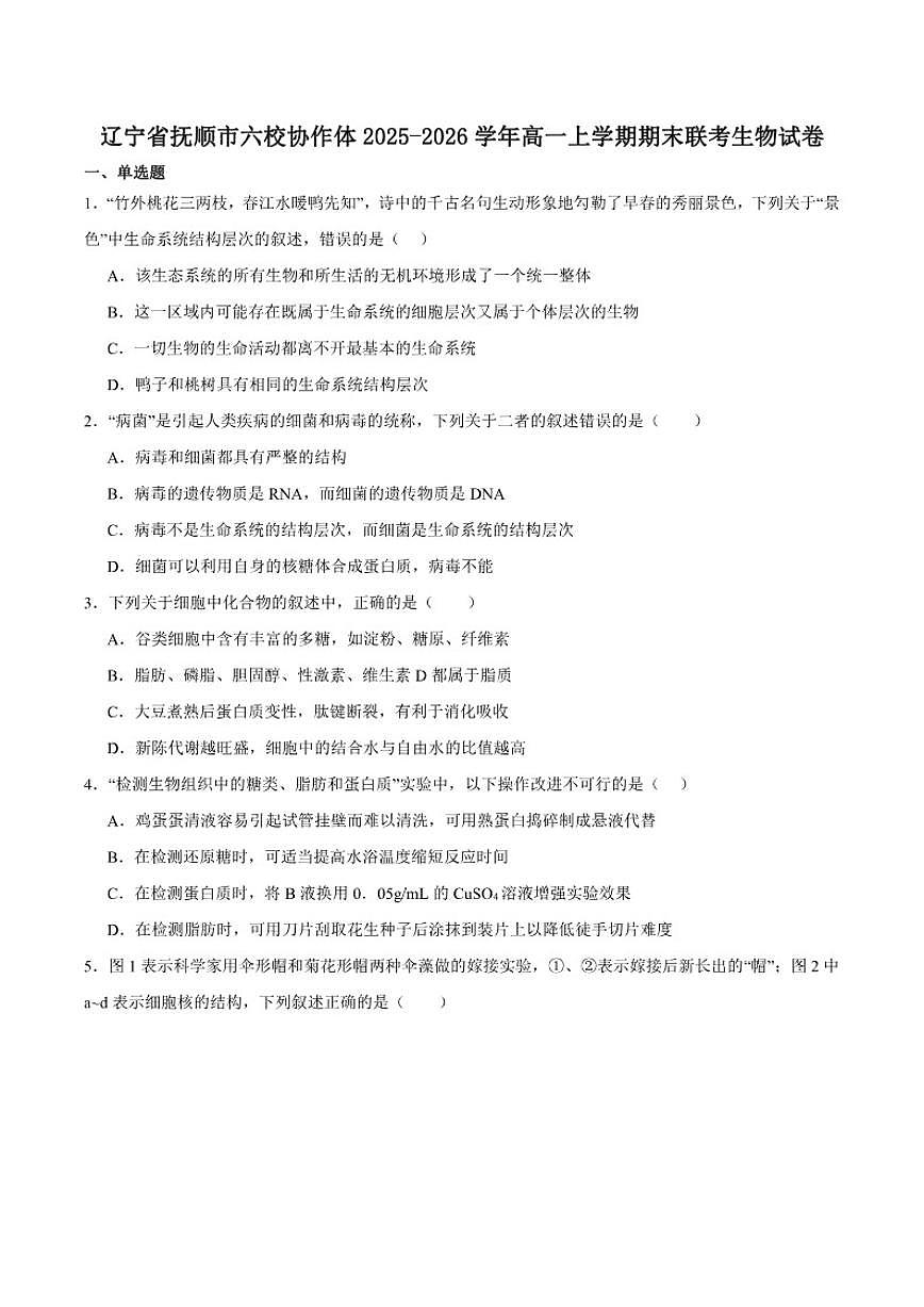 2025-2026学年辽宁省抚顺市六校协作体高一上学期期末联考生物试卷(含答案)第1页