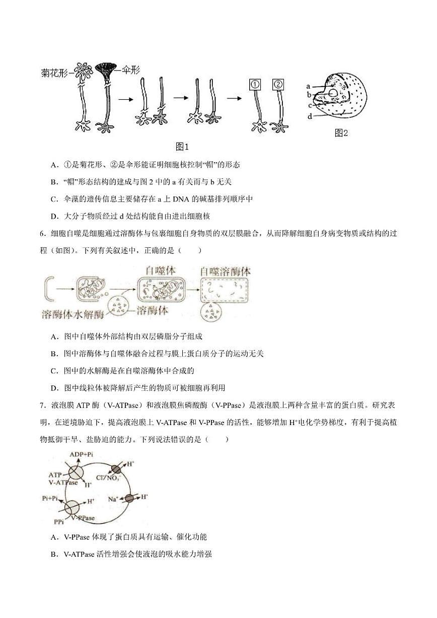 2025-2026学年辽宁省抚顺市六校协作体高一上学期期末联考生物试卷(含答案)第2页
