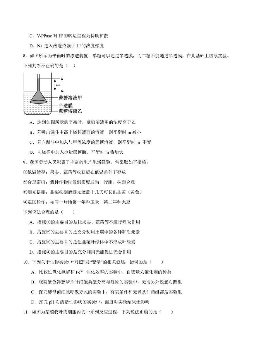 2025-2026学年辽宁省抚顺市六校协作体高一上学期期末联考生物试卷(含答案)第3页