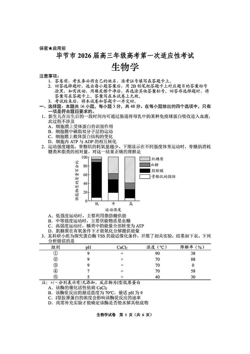 2026届贵州省毕节市高三上学期高考模拟第一次适应性考试生物试题(含答案)第1页
