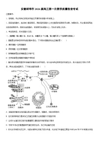 2026届安徽蚌埠市高三上期末第一次教学质量检查考试生物试卷（学生版）
