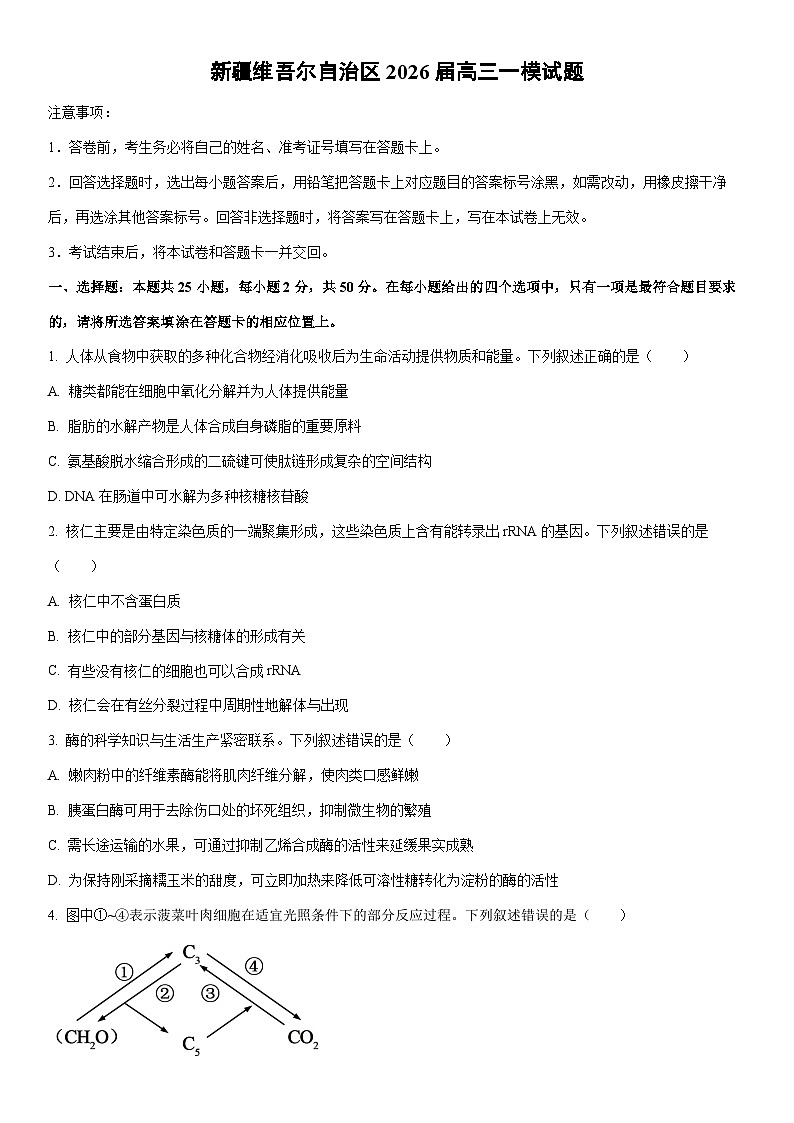 2026届新疆维吾尔自治区高三上一模生物试卷(学生版)第1页