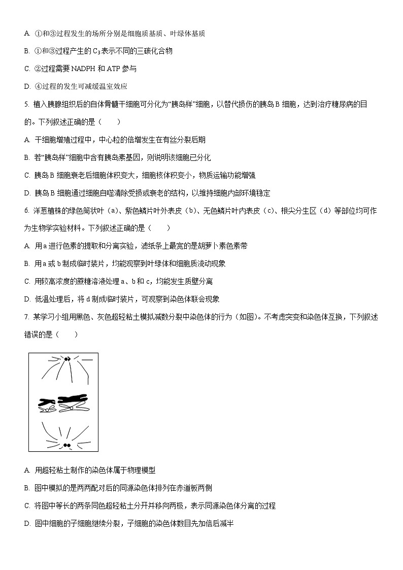2026届新疆维吾尔自治区高三上一模生物试卷(学生版)第2页