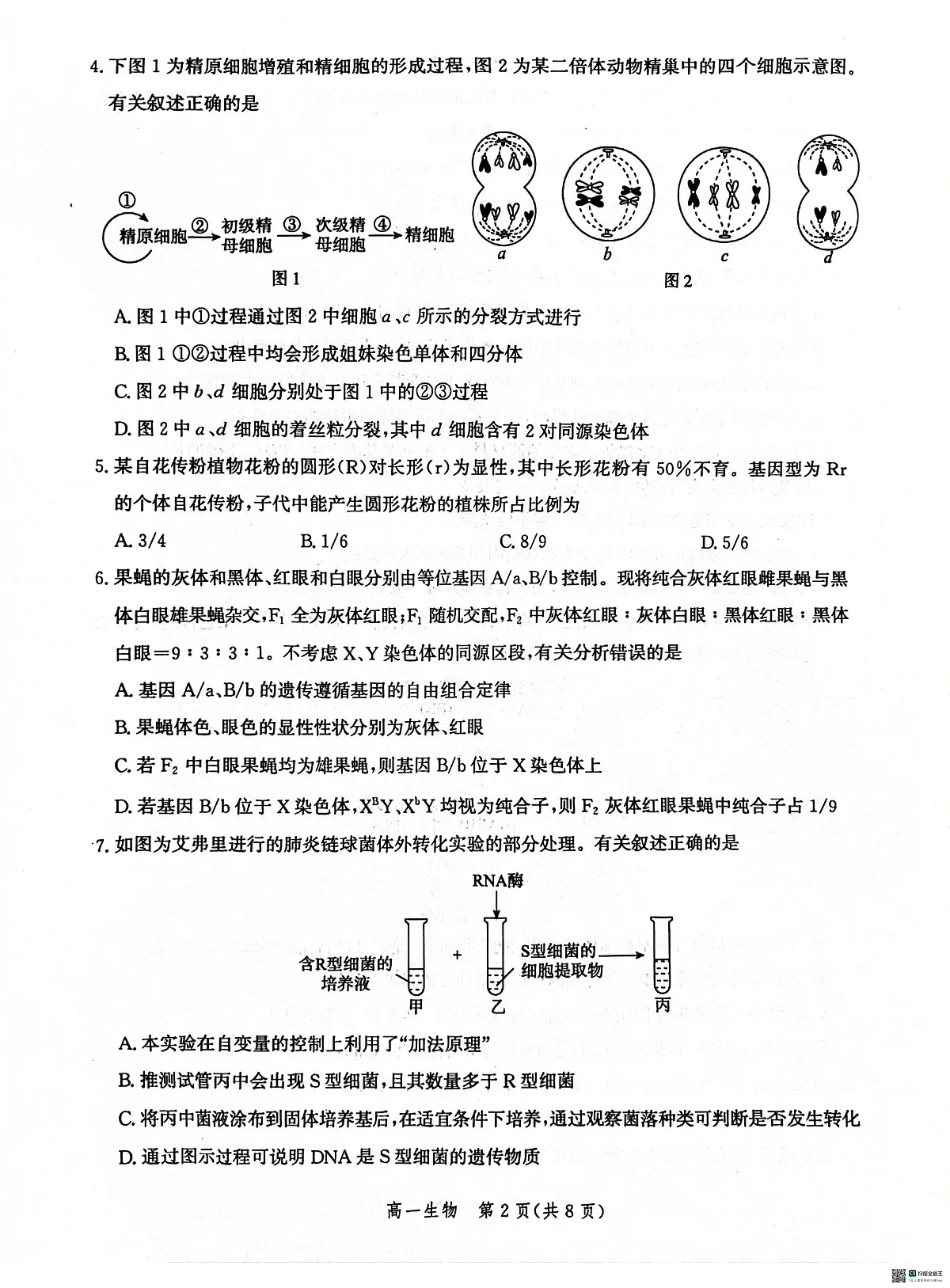 河北省沧州市2023-2024学年高一下学期7月期末教学质量监测生物试题第2页