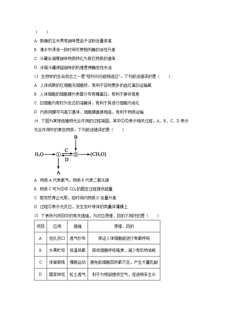【生物】辽宁省鞍山市海城市协作校2025-2026学年高一上学期1月期末试题(学生版)第3页
