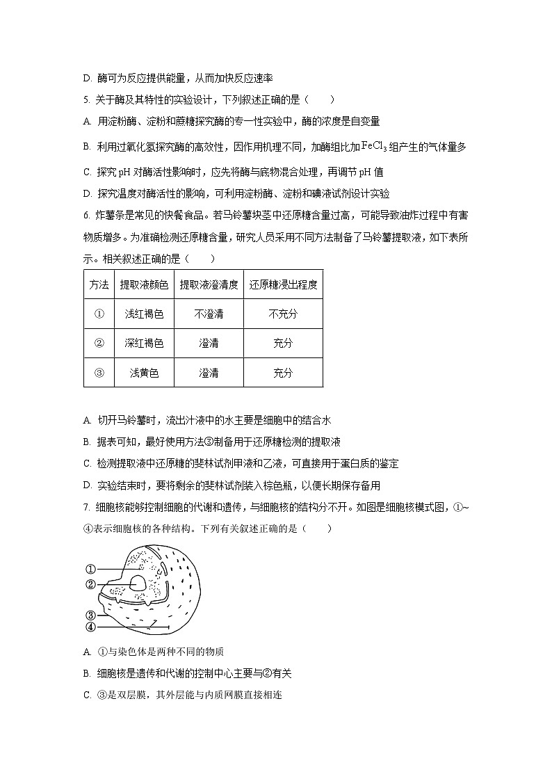 【生物】湖南省怀化市2024-2025学年高一上学期期末考试试题(学生版)第2页