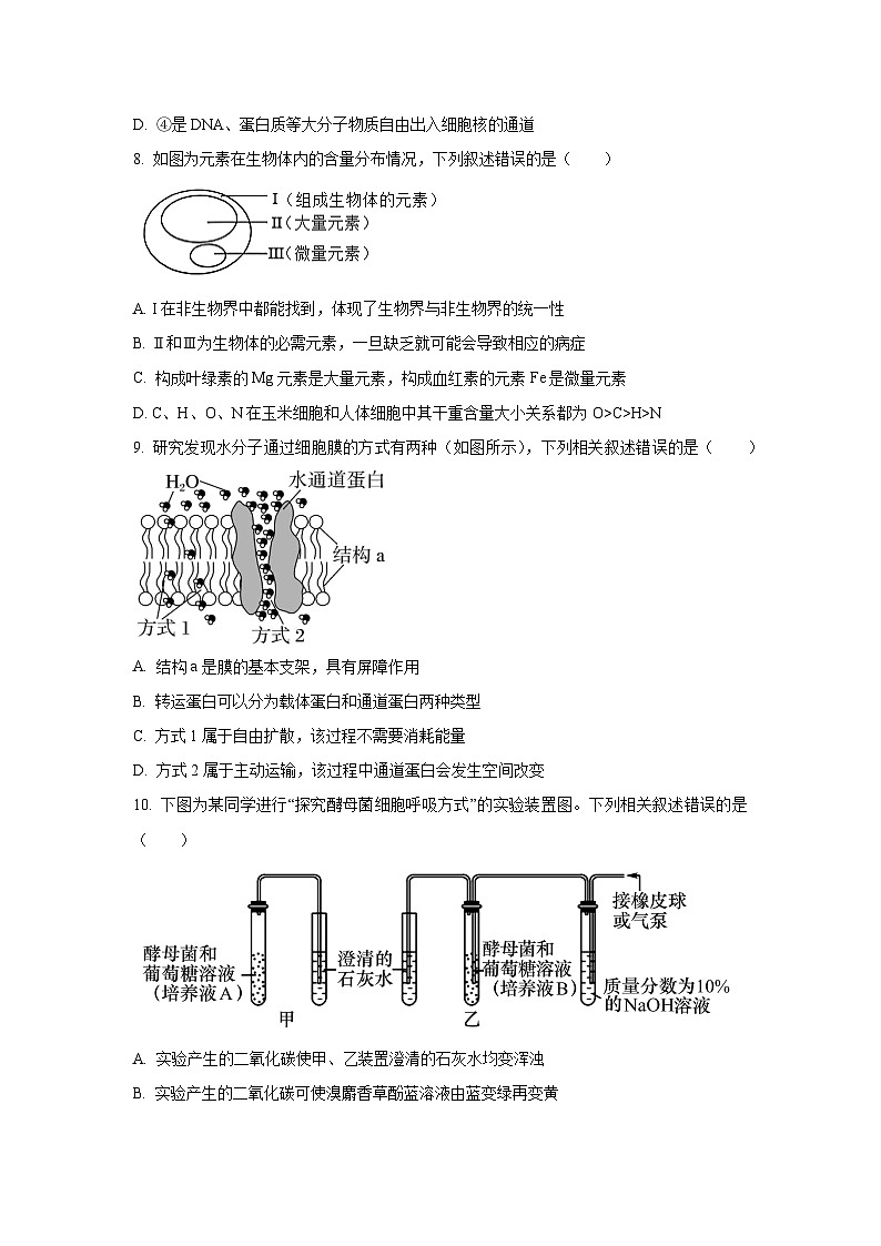 【生物】湖南省怀化市2024-2025学年高一上学期期末考试试题(学生版)第3页