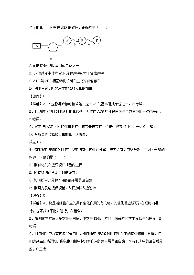 【生物】湖南省怀化市2024-2025学年高一上学期期末考试试题(解析版)第2页