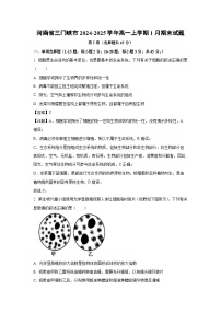 【生物】河南省三门峡市2024-2025学年高一上学期1月期末试题（学生版+解析版）