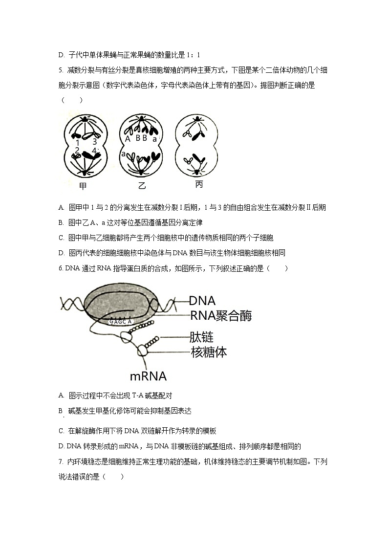 【生物】湖南衡阳市衡南县2025-2026学年高二上学期期末考试试题(学生版)第2页