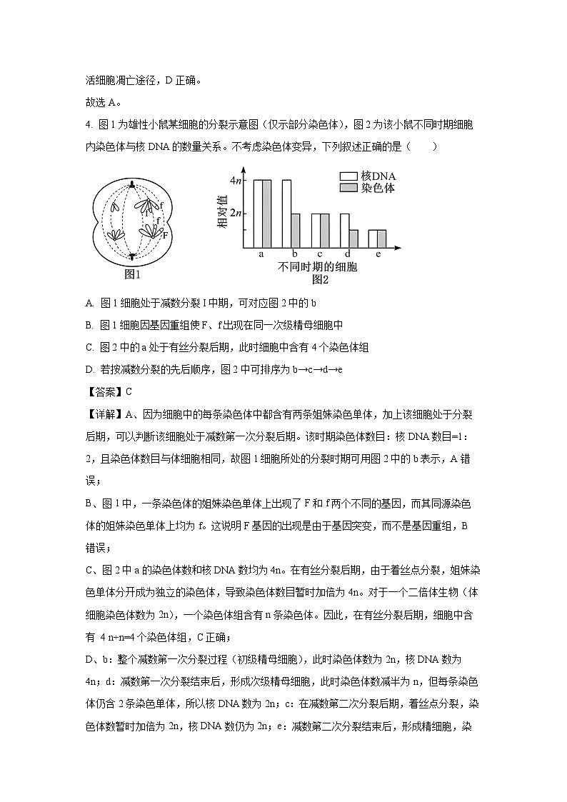 【生物】河南省2025-2026学年高三上学期2月期末试题(解析版)第3页