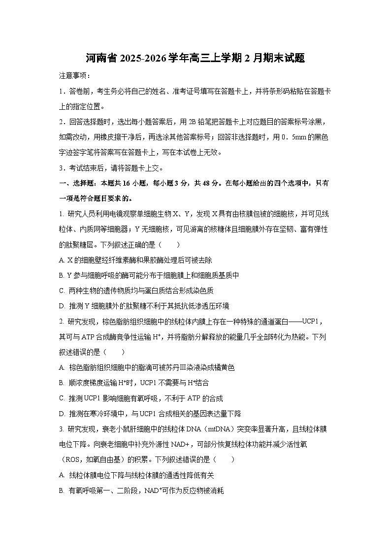 【生物】河南省2025-2026学年高三上学期2月期末试题(学生版)第1页