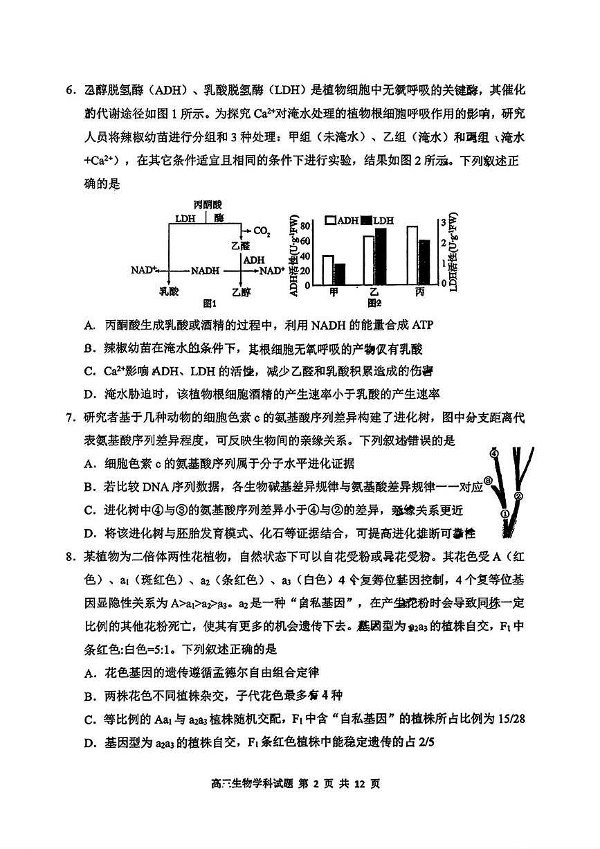 吉林长春市东北师范大学附属中学2025-2026学年高三上学期期末考试生物试卷第2页
