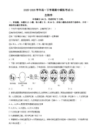 人教版2025-2026学年高一下学期期中模拟考试生物试题01