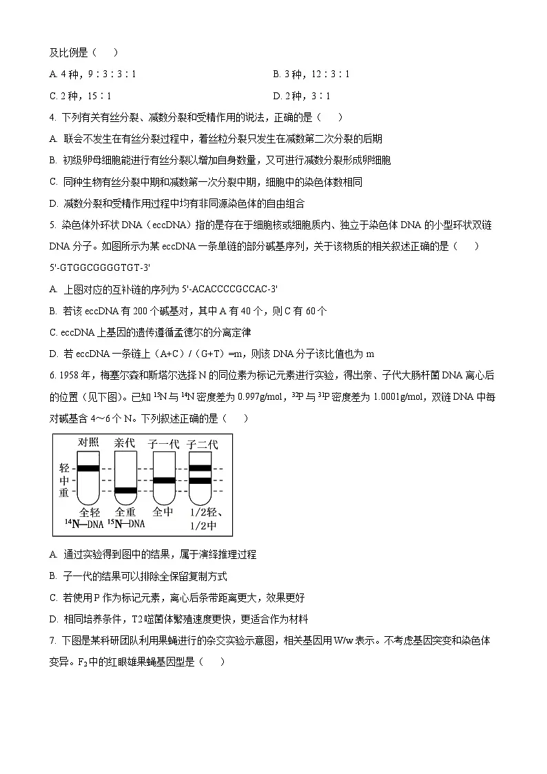 人教版2025-2026学年高一下学期期末模拟考试生物试题01(原卷版)第2页