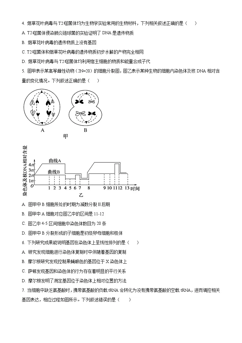 人教版2025-2026学年高一下学期期末模拟考试生物试题02(原卷版)第2页
